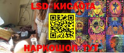 PSILOCYBIN Заводоуковск
