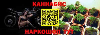 амф Заволжье