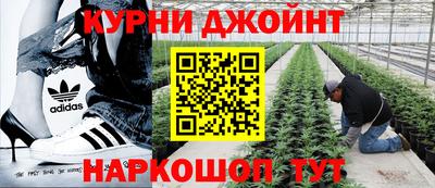 PSILOCYBIN Заводоуковск