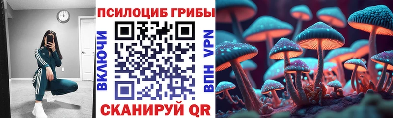 Псилоцибиновые грибы GOLDEN TEACHER  нарко площадка официальный сайт  Ногинск 